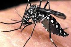 Gurugram: में फैल रहा डेंगू का डंक