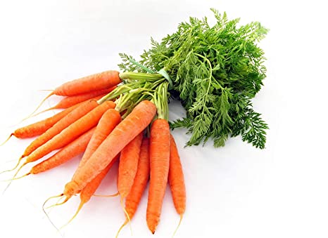 Cold: केवल गाजर का हलवा ही नही रोटी भी खांए