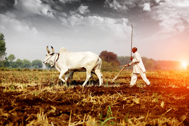 कृषि-पर्यटन में भारत की धाक, किसानो की बदल रहा जिन्दगी