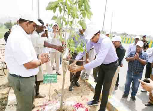 वृक्षारोपण अभियान तहत CEO Lokesh M ने किया पौधारोपण, लगाए गए 500 पौधें