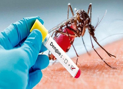 Moradabad: 9 लोगों में डेंगू की पुष्टि के साथ मुरादाबाद में आंकड़ा पहुंचा 115