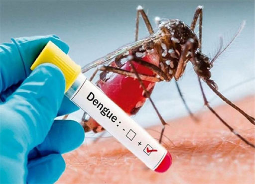 Dengue : Firozabad में बढ़ा डेंगू का ग्राफ, 24 घंटे में मिले 9 मरीज