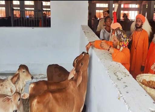 Gorakhnath Temple : गोरखनाथ मंदिर में मुख्यमंत्री ने की गोपूजन-गौसेवा