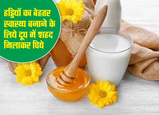 Honey Milk Benefits : दूध-शहद मिलाकर पीने से कई बडें फायदे, बीमारियों से रहेंगे दूर