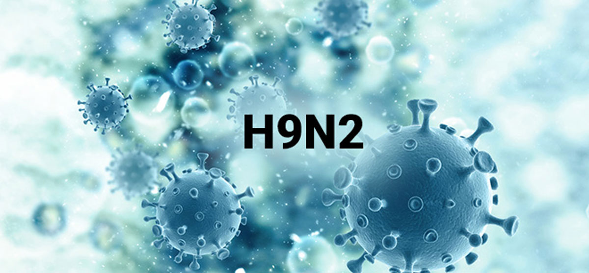 H9N2 Virus: चीन से फिर आया वायरस, फैल रहा बच्चों के बीच, बरते ये सावधानियां