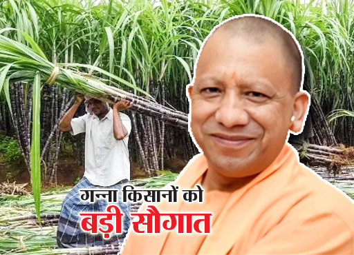 Sugarcane Farmer: किसानों को मिला योगी सरकार का शानदार तोहफा, 20 रुपए बढ़ा गन्ने का MSP