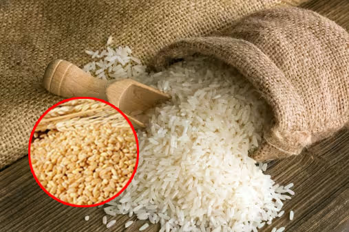 Export ban: गेहूं, चावल व चीनी के निर्यात पर प्रतिबंध हटाने का प्रस्ताव नहीं : पीयूष गोयल