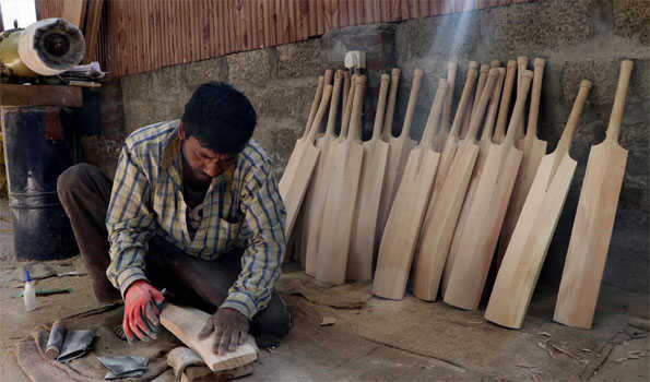 Kashmir के बल्ला निर्माताओं की विलो वृक्षारोपण की अपील