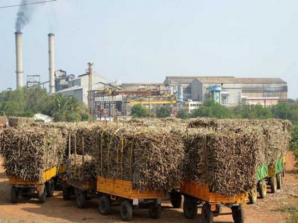 UP News: सहारनपुर में इस साल गन्ना पेराई और चीनी उत्पादन हुआ कम