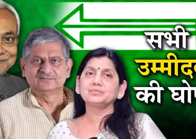 Bihar Politics: लोकसभा चुनाव को लेकर बिहार में इनको मिला टिकट, जानें कौन कहां से लड़ रहा चुनाव