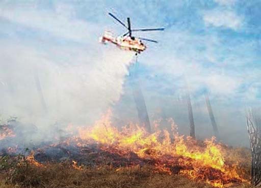 Uttarakhand: आग से 689.89 हेक्टेयर जंगल राख,हेलीकाप्टर आग बुझाने में लगाया
