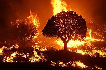 Uttarakhand : मैदान से लेकर पहाड़ों तक आग ही आग, एक दिन में रिकॉर्ड 52 घटनाएं
