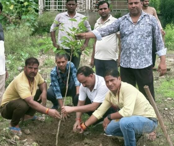 जगदंबा सेवा समिति ट्रस्ट ने किया पौधारोपण कार्य  