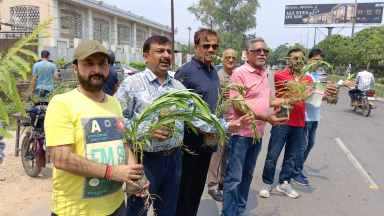 रोटरी गाजियाबाद मिड टाउन ने पर्यावरण संरक्षण के लिए वितरित किए 1600 पौधे