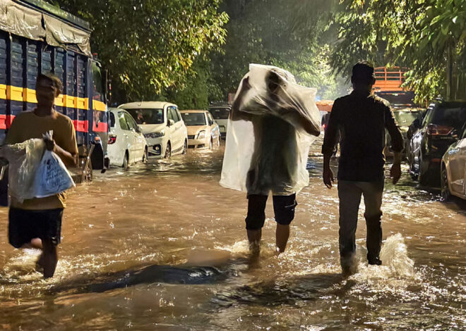 Heavy Rain in Mumbai: तेज बारिश ने थाम दी मुंबई की रफ्तार, स्कूल-कॉलेज भी बंद, 14 उड़ानों का रूट डायवर्ट