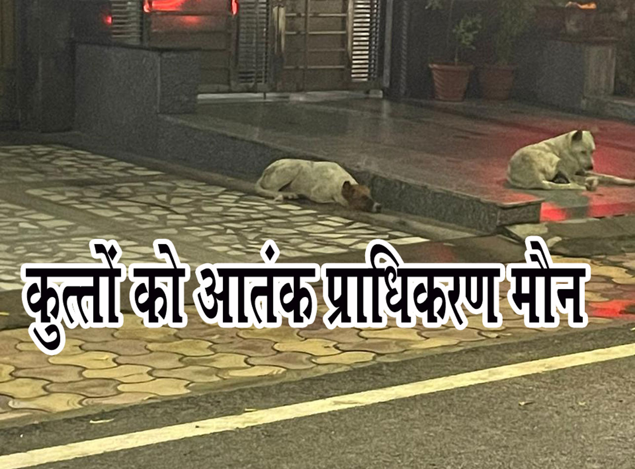 कुत्तों का आतंक:  22 लोगों को काटने वाले को पीट पीटकर मार डाला, नोएडा-ग्रेनो में घर से बाहर निकलने में डर रहे बच्चे