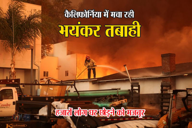 Fire in Los Angeles: लॉस एंजिल्‍स में लगी भयानक आग, सैकड़ों घर स्वाहा