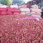 Onion Export: