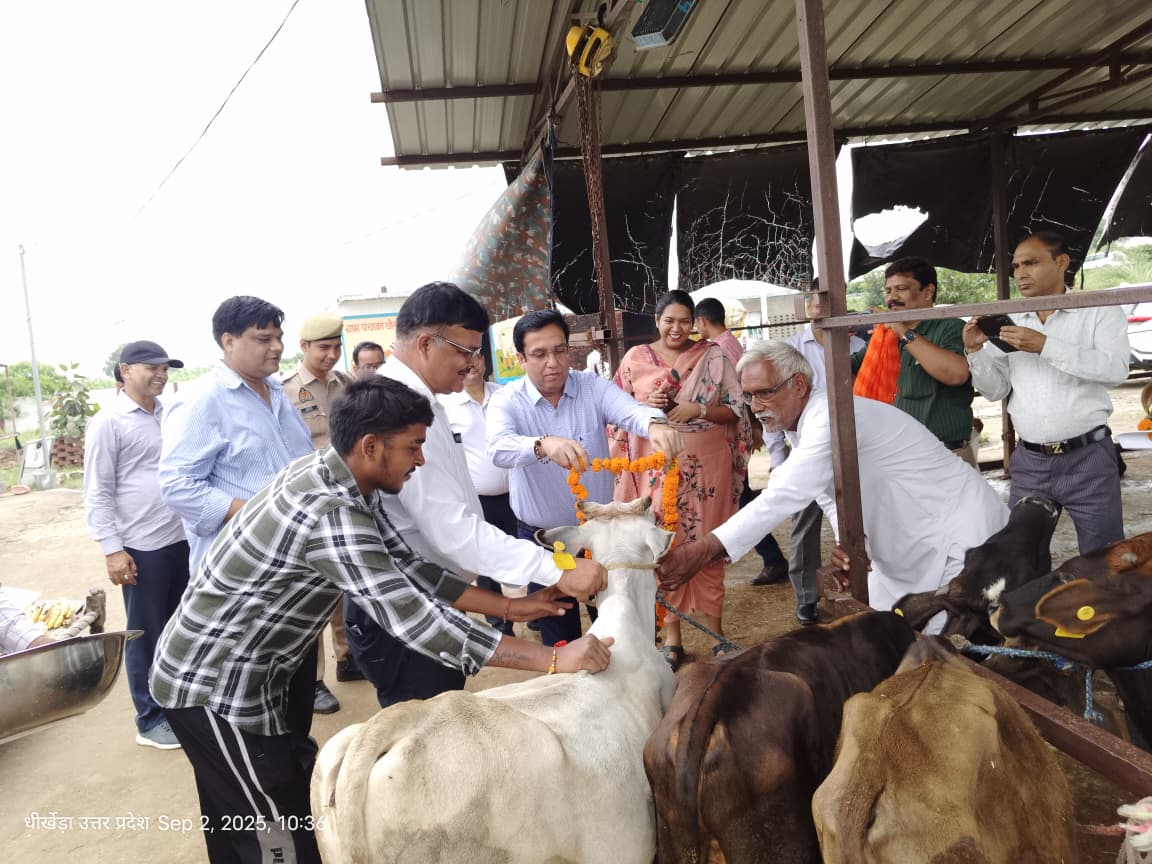 मेरठ में गौवंश संरक्षण पर जिला स्तरीय बैठक आयोजित