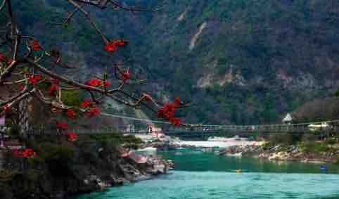 दिल्ली का व्यक्ति ऋषिकेश के बज्रंग पुल से गंगा में कूद की आत्महत्या, तलाशी अभियान जारी