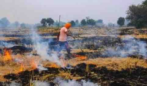 पंजाब: बठिंडा के दबवाली भारतमाला रोड के पास खेत में किसानो ने जलाई पराली , प्रदूषण का खतरा बढ़ा