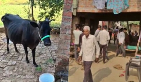 गोरखपुर: आस्था का प्रसाद बना मौत का प्रसाद, रेबीज संक्रमण का डर