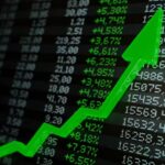 Domestic Stock Market :