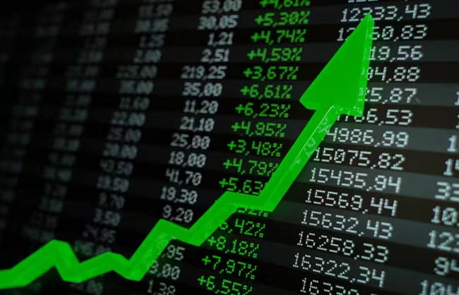 Domestic Stock Market :