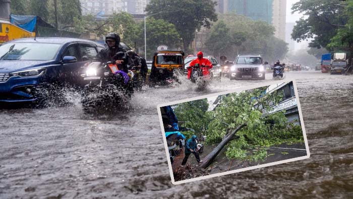 Mumbai Rain News