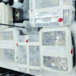 counterfeit coins